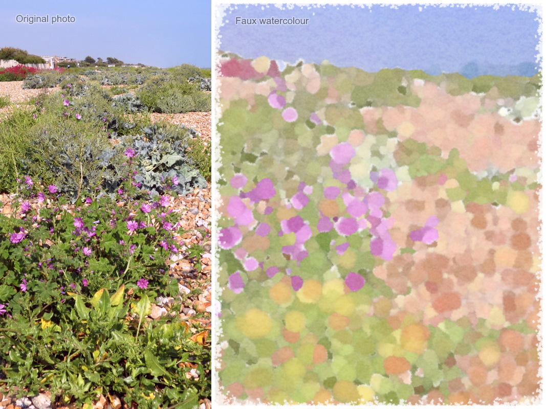 Trying for a watercolour look. Here I also used other effects but 'Grow' created the blobs of colour.